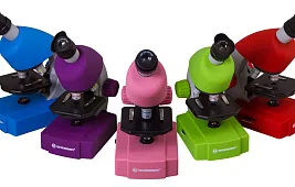 Бородавка под микроскопом