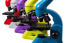 Обычные предметы под объективом микроскопа