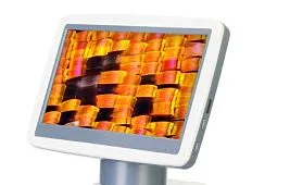 Цифровые микроскопы: в чем их преимущества перед оптическими?