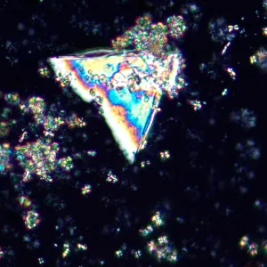 Микроскоп поляризационный цифровой MAGUS Pol D850, изображение 25