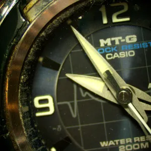 Микроскоп стереоскопический MAGUS Stereo 8T, изображение 18