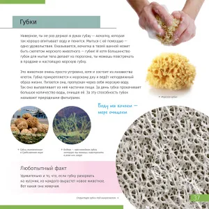 Книга знаний в 2 томах. «Космос. Микромир», изображение 7