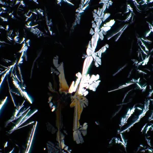 Устройство простой поляризации MAGUS SPD3, изображение 7