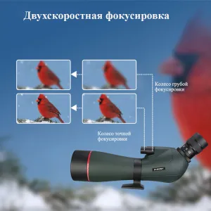 Зрительная труба SVBONY SV406P 20–60x80 ED WP, изображение 10