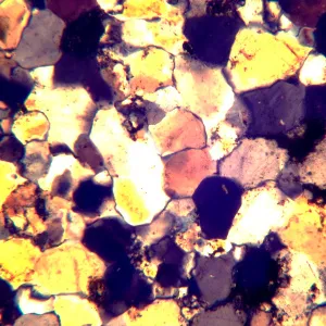 Микроскоп поляризационный MAGUS Pol 800, изображение 18