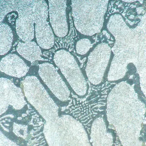 Микроскоп металлографический инвертированный цифровой MAGUS Metal VD700, изображение 21