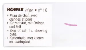 Набор микропрепаратов Konus 10: «Биология» (часть 2), изображение 5