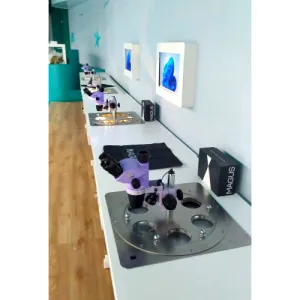 Микроскоп экспозиционный Expo-Optic с оптической головой MAGUS Stereo 8TH, изображение 6