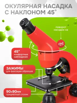 Микроскоп Levenhuk Rainbow 50L PLUS, изображение 29