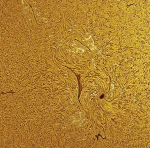 Камера-гид цифровая астрономическая Meade LPI-GC, цветная, изображение 4