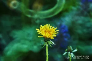 Объектив фотографический МС Рубинар 4,5/300 Макро, изображение 7